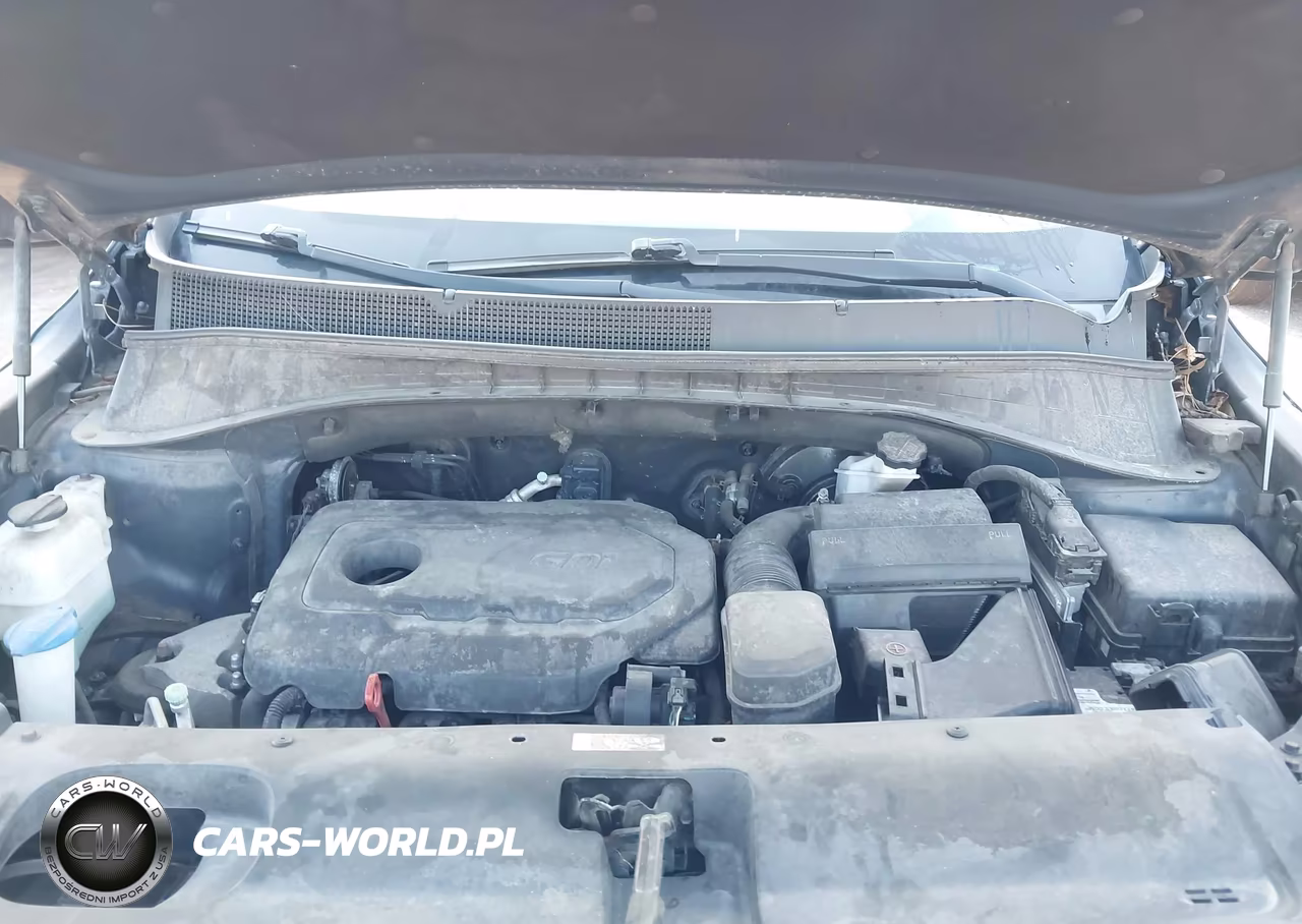 2016 Kia Sorento 2.4L Lx VIN:5XYPG4A39GG118563 - 10