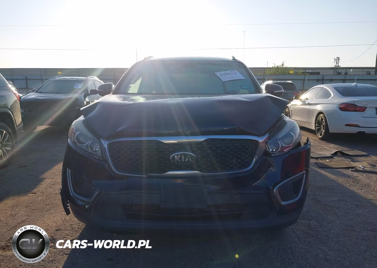 2016 Kia Sorento 2.4L Lx VIN:5XYPG4A39GG118563 - 12