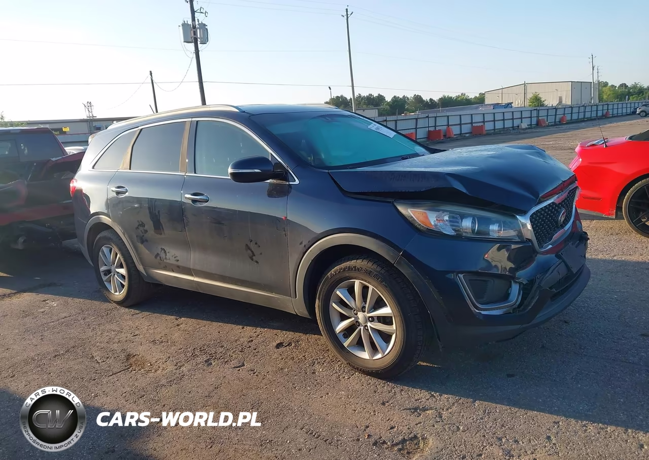 2016 Kia Sorento 2.4L Lx VIN:5XYPG4A39GG118563 - 13