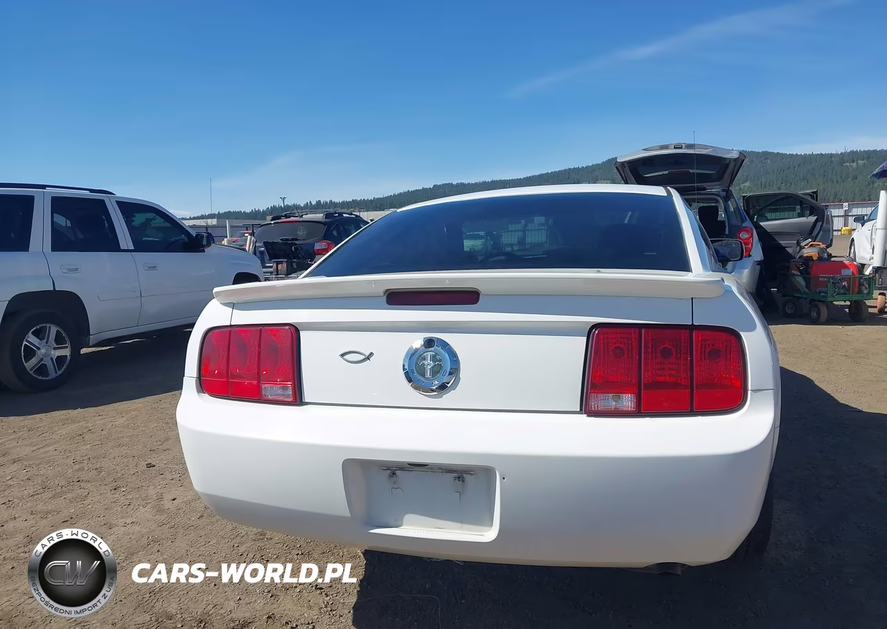 2007 Ford Mustang V6 Deluxe-V6 Premium VIN:1ZVFT80N275263547 - 17