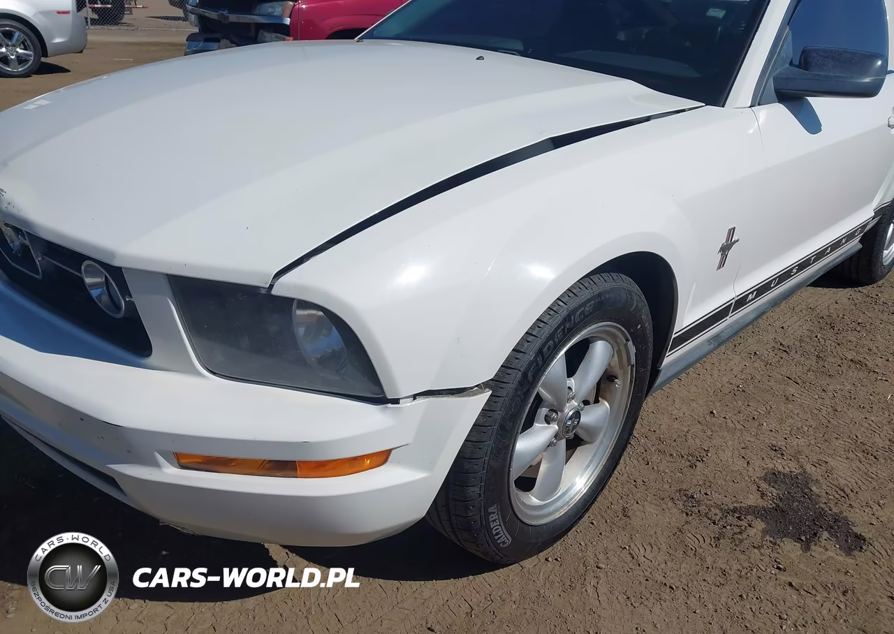 2007 Ford Mustang V6 Deluxe-V6 Premium VIN:1ZVFT80N275263547 - 18
