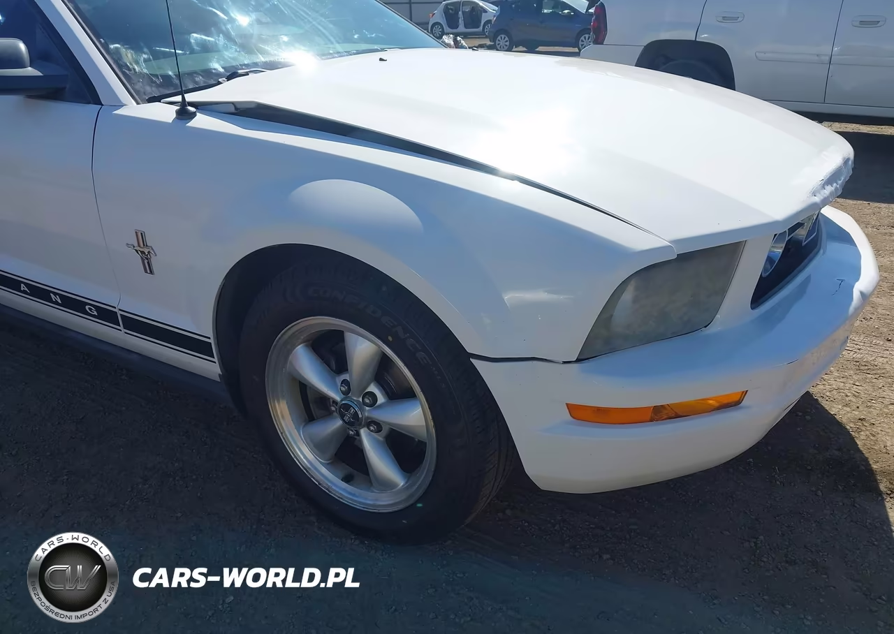 2007 Ford Mustang V6 Deluxe-V6 Premium VIN:1ZVFT80N275263547 - 19