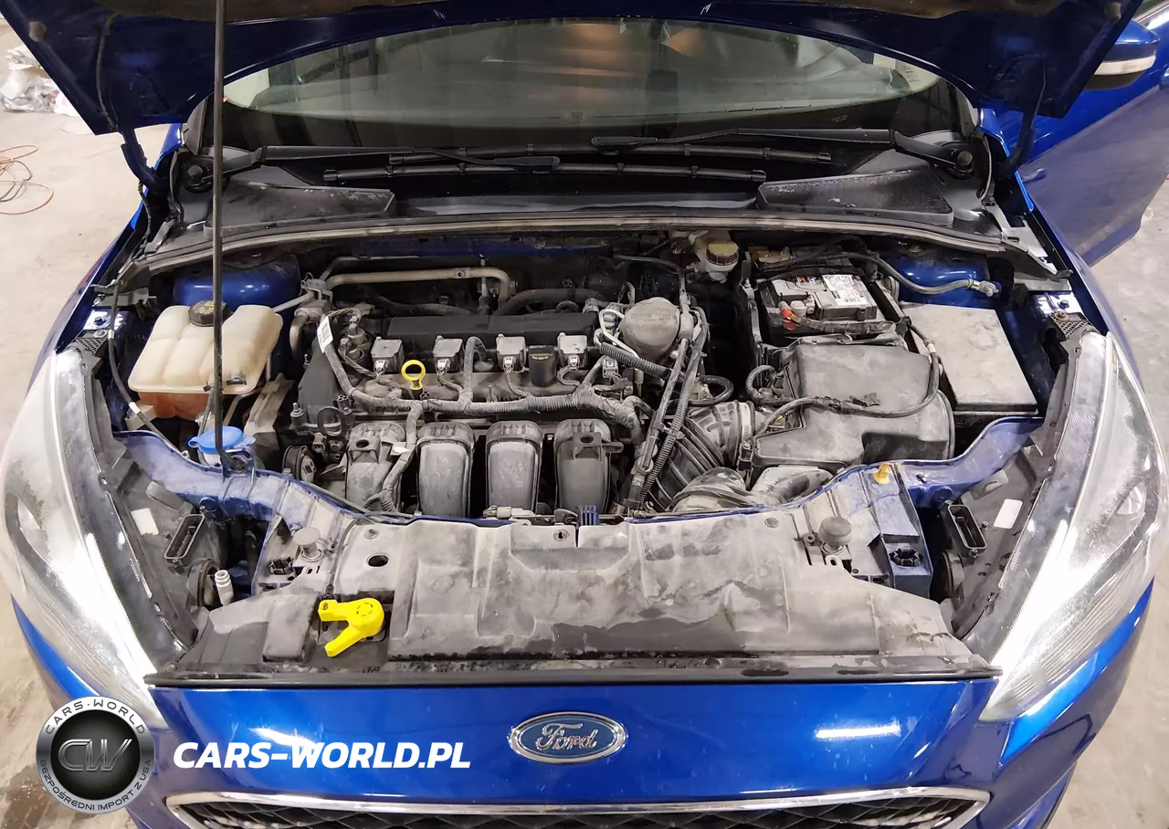 2015 Ford Focus Se VIN:1FADP3F27FL369104 - 10
