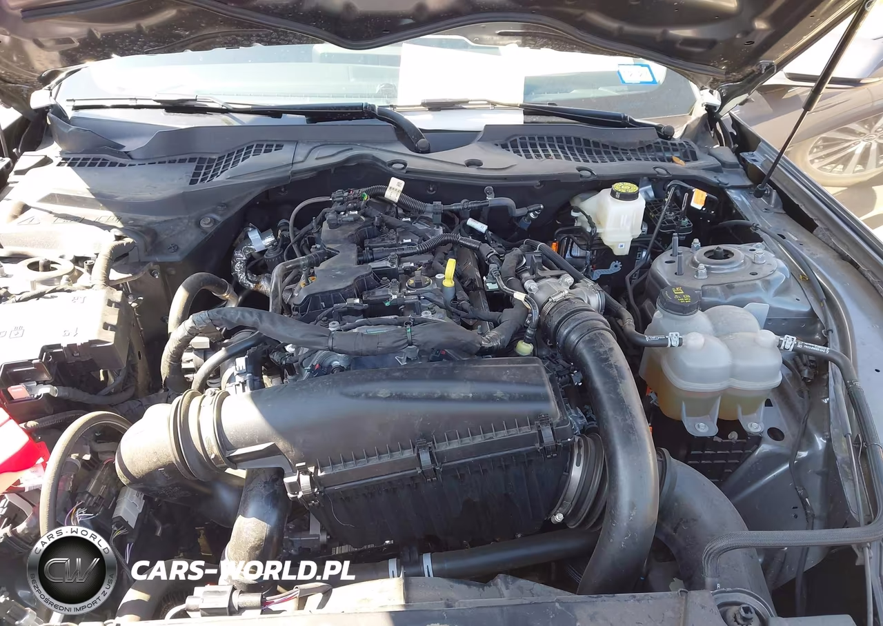 2025 Ford Mustang Ecoboost Premium Fastback VIN:1FA6P8TH0S5101556 - 10