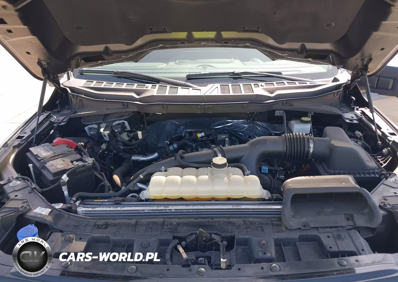 2024 Ford F-150 Xlt VIN:1FTEW3LP3RKF60269 - 10