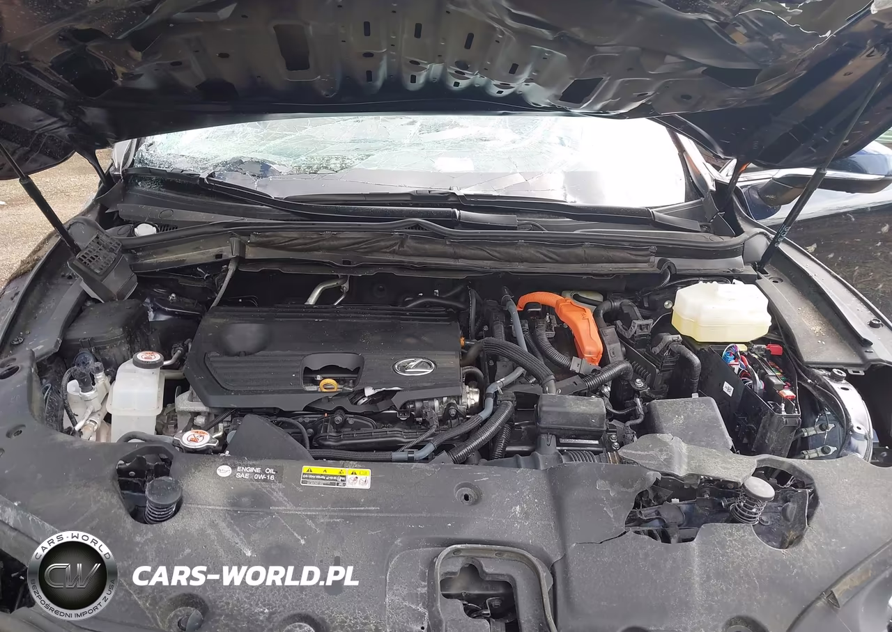 2025 Lexus Rx 350H Premium VIN:2T2BBMCA4SC068918 - 10
