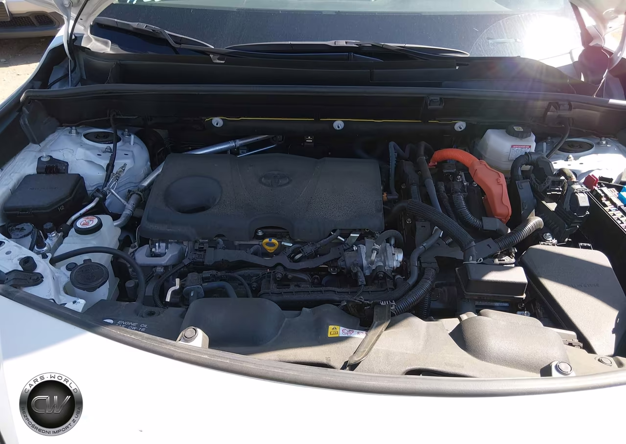 2024 Toyota Venza Xle VIN:JTEAAAAH1RJ157356 - 10