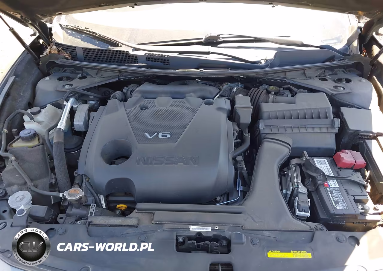 2019 Nissan Maxima 3.5 Sl VIN:1N4AA6AV8KC376287 - 10