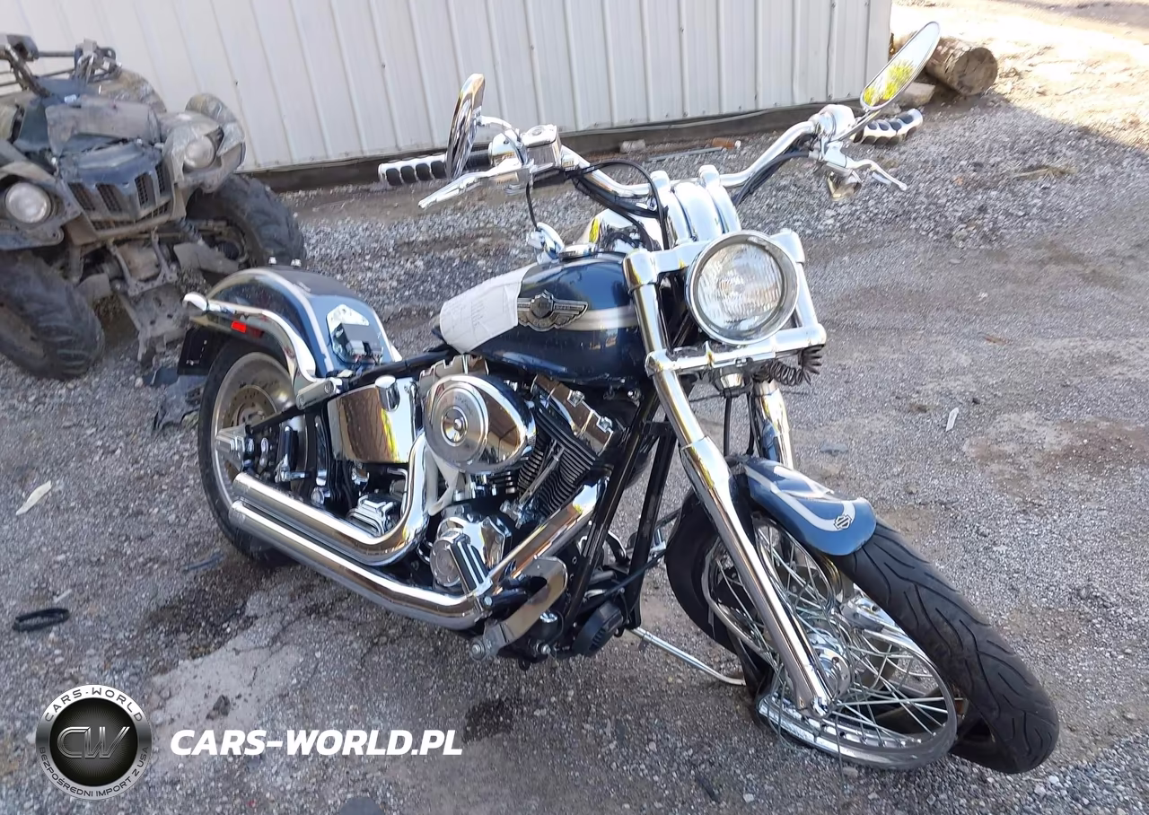 2003 Harley-Davidson Fxstd – zdjęcie 1 z 12