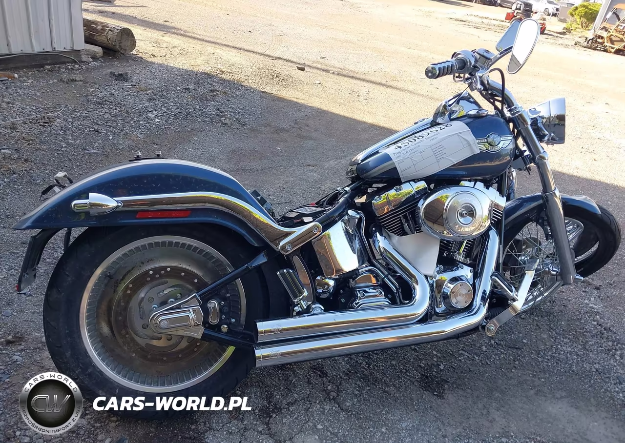 2003 Harley-Davidson Fxstd VIN:1HD1BSY183Y084161 - 11