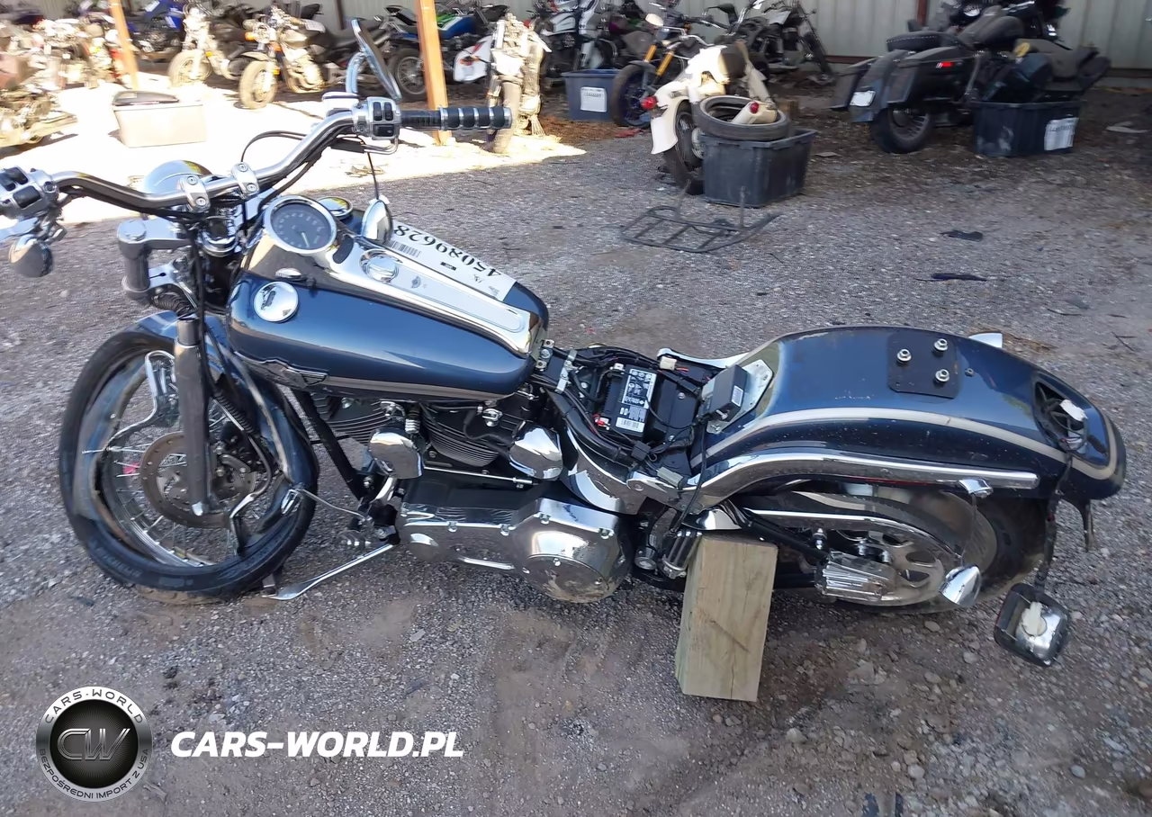 2003 Harley-Davidson Fxstd VIN:1HD1BSY183Y084161 - 12