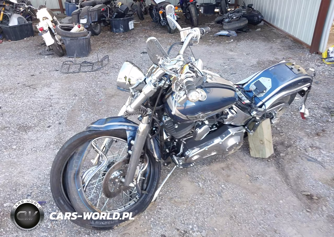 2003 Harley-Davidson Fxstd VIN:1HD1BSY183Y084161 - 2