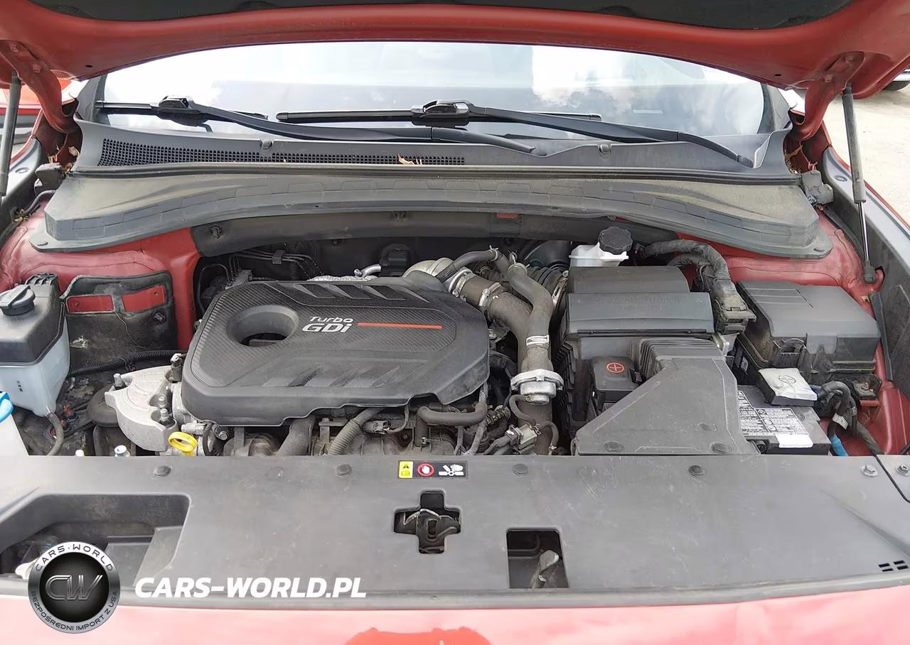 2020 Hyundai Santa Fe Limited 2.0T VIN:5NMS5CAA3LH180792 - 10