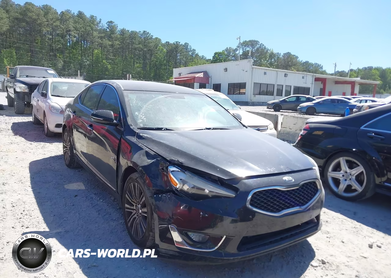2014 Kia Cadenza Premium