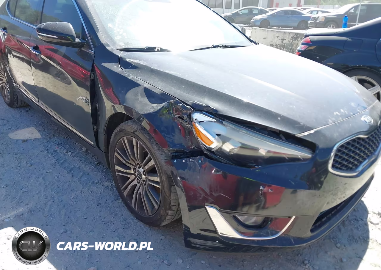 2014 Kia Cadenza Premium VIN:KNALN4D79E5167252 - 6