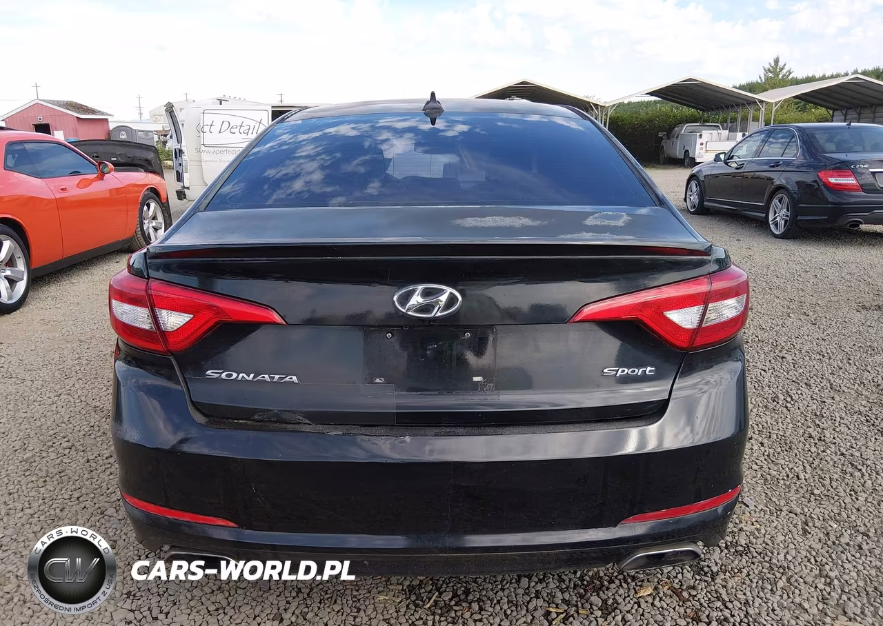2015 Hyundai Sonata Sport VIN:5NPE34AF0FH097851 - 16