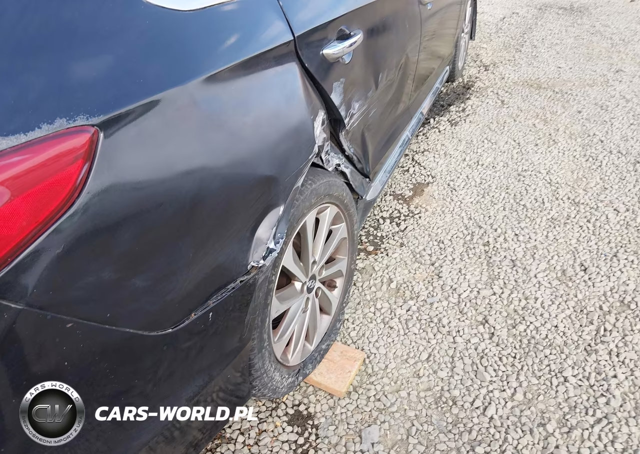 2015 Hyundai Sonata Sport VIN:5NPE34AF0FH097851 - 17