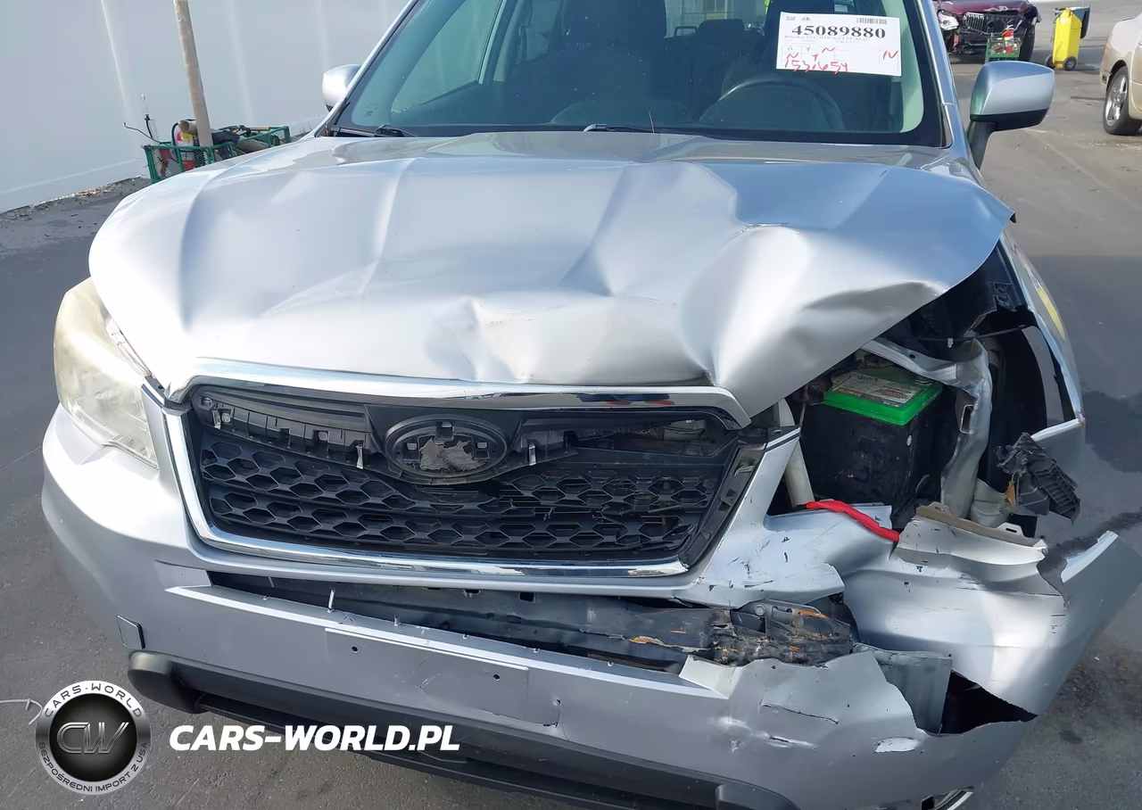 2015 Subaru Forester 2.5I Premium VIN:JF2SJADC3FH547789 - 19