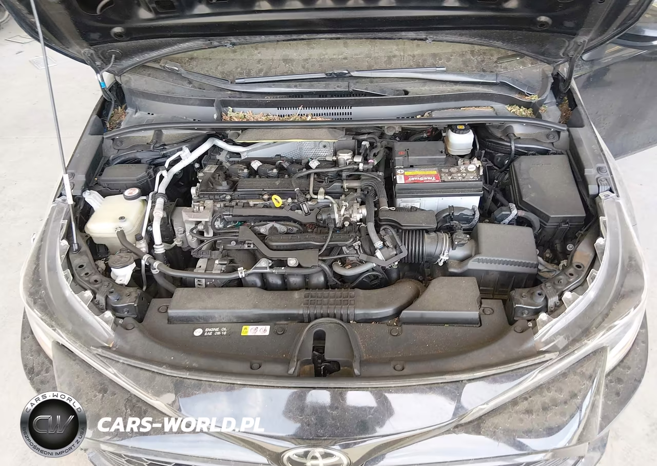 2019 Toyota Corolla Se VIN:JTNK4RBE6K3015092 - 10