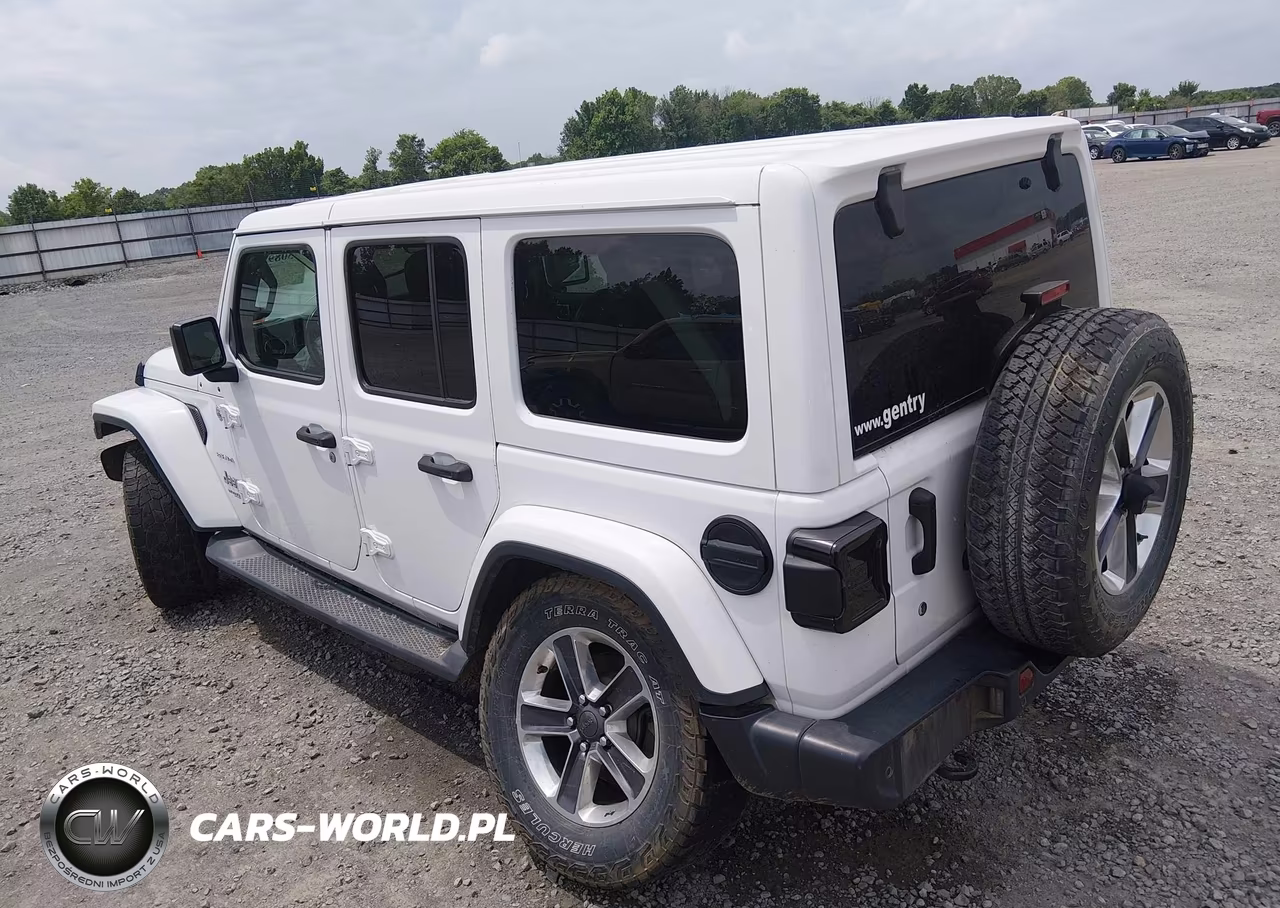 2019 Jeep Wrangler Unlimited Sahara 4X4 VIN:1C4HJXEG2KW548869 - 3