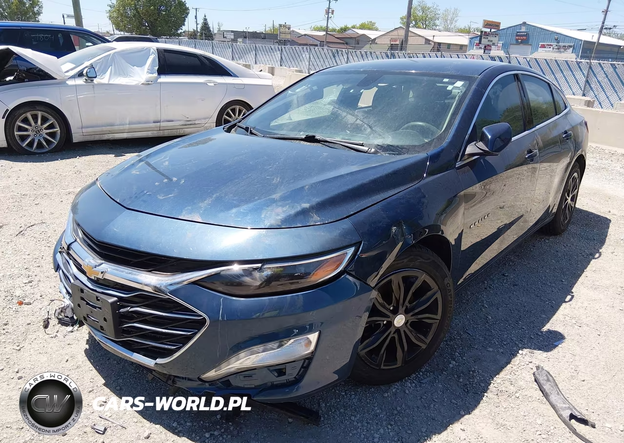 2019 Chevrolet Malibu Lt VIN:1G1ZD5ST4KF138780 - 2