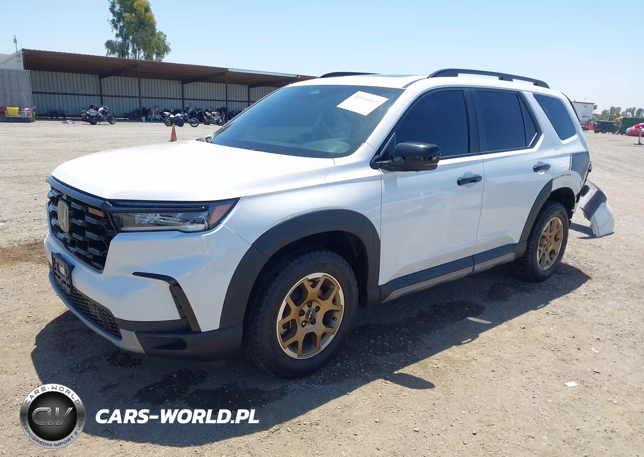 2024 Honda Pilot Trailsport VIN:5FNYG1H66RB007904 - 2