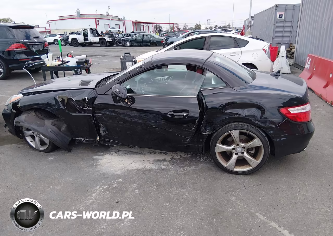 2012 Mercedes-Benz Slk 350 VIN:WDDPK5HA8CF014318 - 14