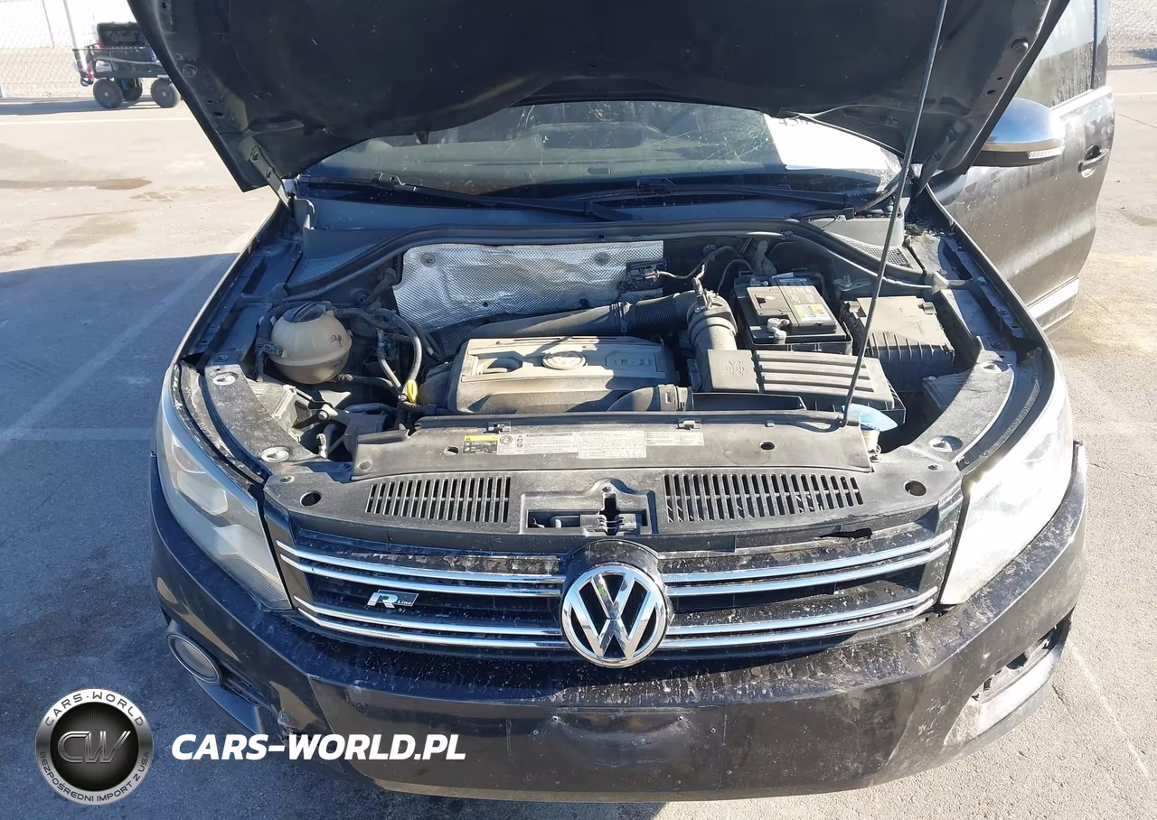 2014 Volkswagen Tiguan R-Line VIN:WVGAV3AX7EW064393 - 10