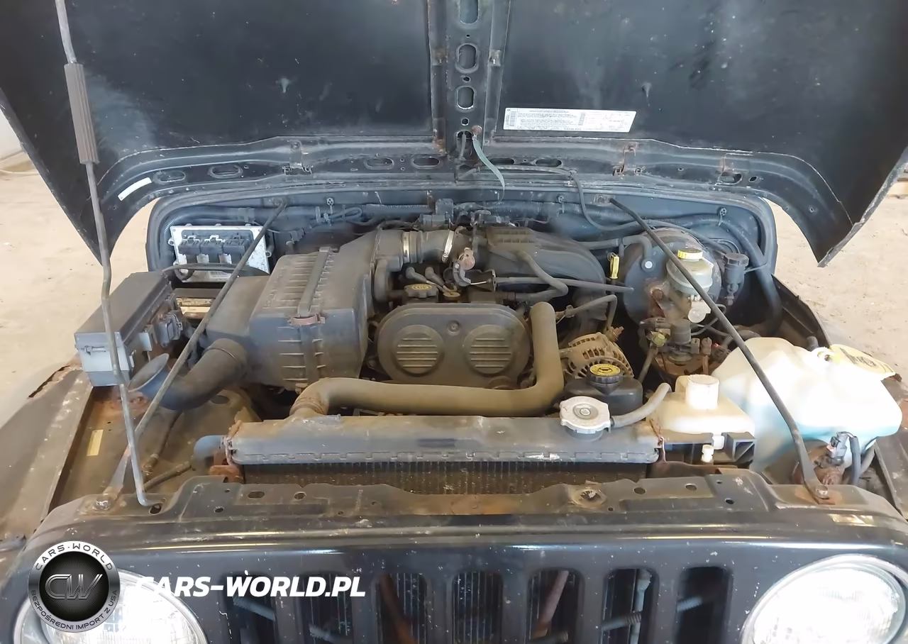 2003 Jeep Wrangler Se VIN:1J4FA29153P363771 - 10