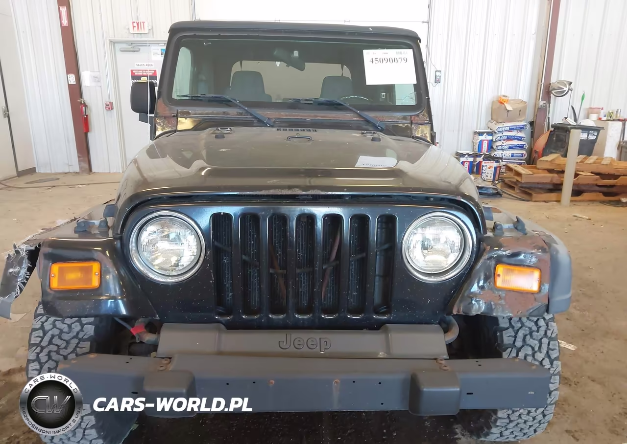 2003 Jeep Wrangler Se VIN:1J4FA29153P363771 - 12