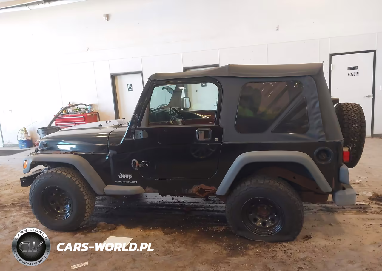 2003 Jeep Wrangler Se VIN:1J4FA29153P363771 - 14