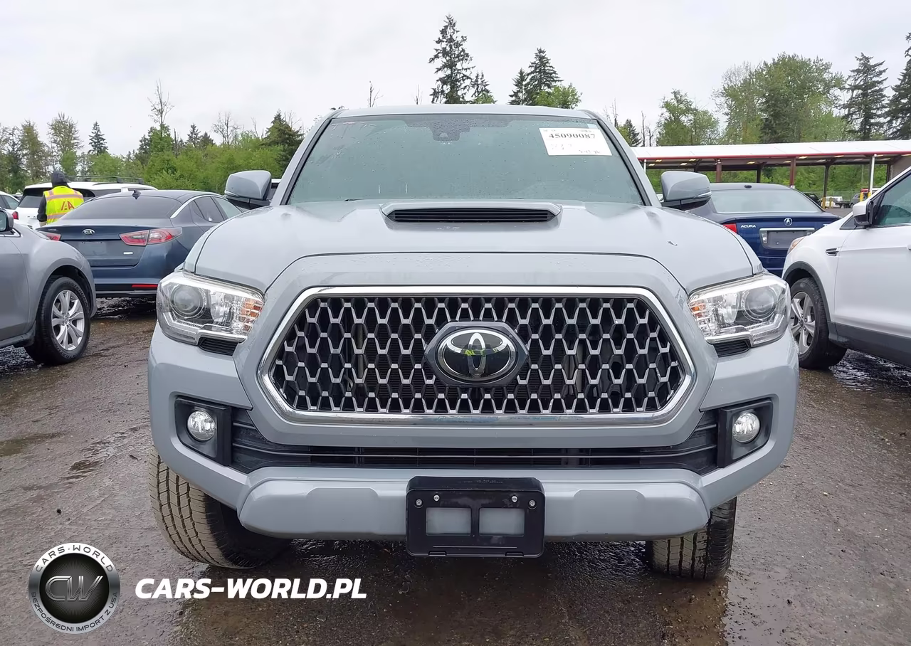 2019 Toyota Tacoma Trd Sport VIN:5TFSZ5AN0KX197218 - 12