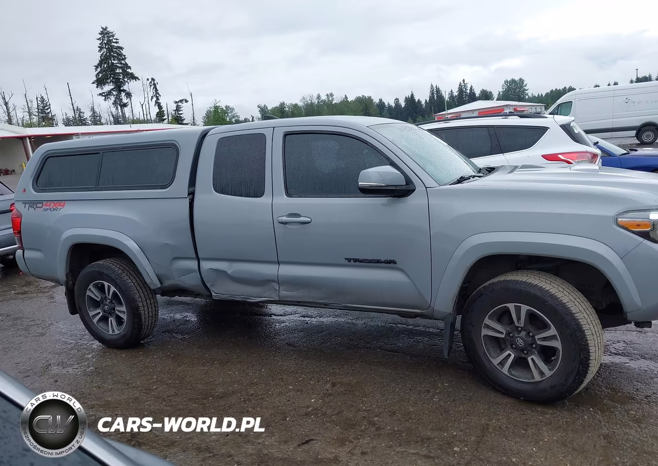 2019 Toyota Tacoma Trd Sport VIN:5TFSZ5AN0KX197218 - 13