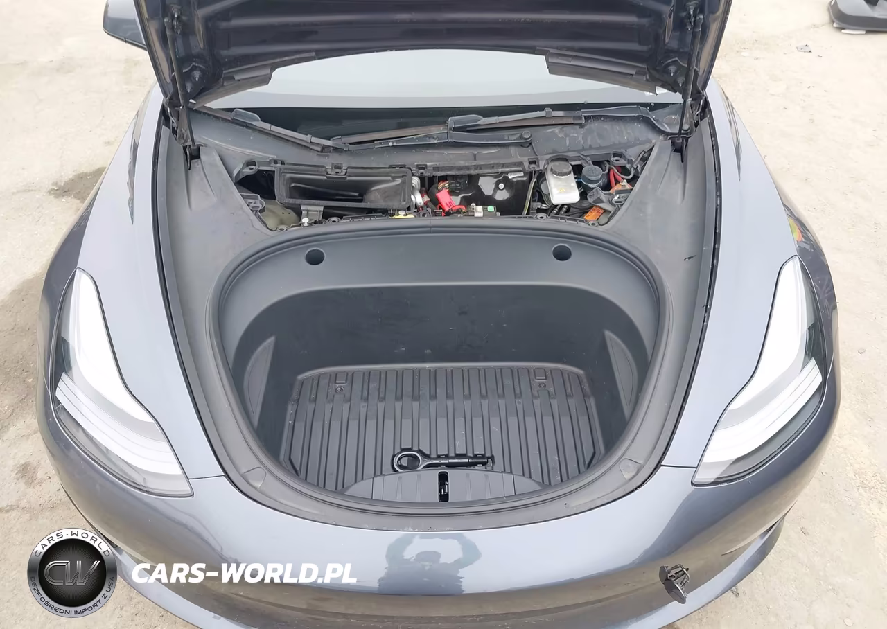2023 Tesla Model 3 Performance Dual Motor All-Wheel Drive VIN:5YJ3E1EC9PF491543 - 10