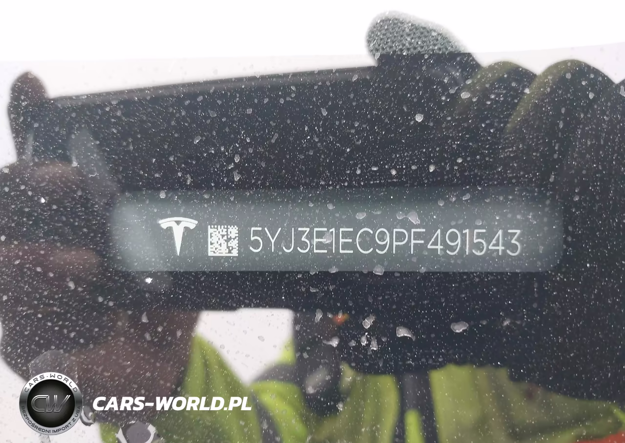 2023 Tesla Model 3 Performance Dual Motor All-Wheel Drive VIN:5YJ3E1EC9PF491543 - 9