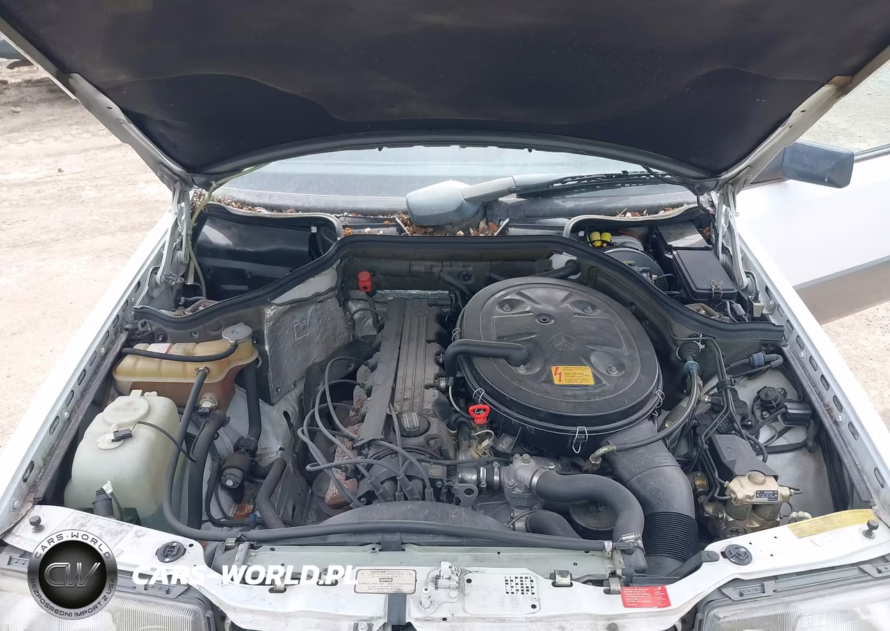 1988 Mercedes-Benz 300 Ce VIN:WDBEA50DXJA656624 - 10