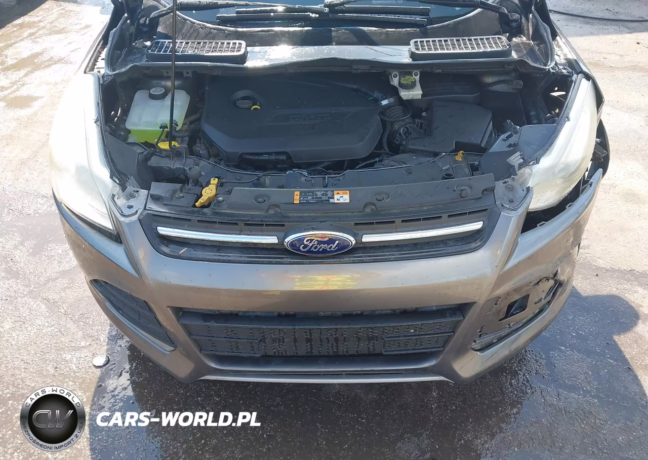 2014 Ford Escape Se VIN:1FMCU9GX2EUE34683 - 10