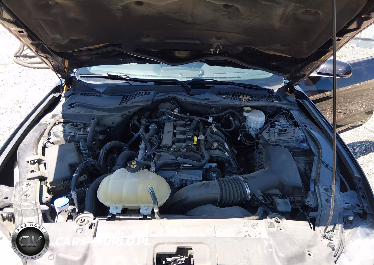 2021 Ford Mustang Ecoboost Fastback VIN:1FA6P8TH0M5153269 - 10