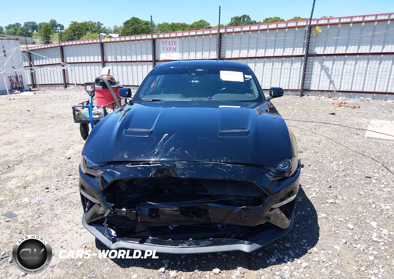 2021 Ford Mustang Ecoboost Fastback VIN:1FA6P8TH0M5153269 - 12