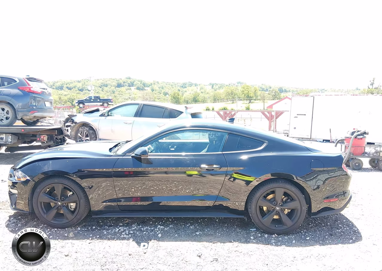 2021 Ford Mustang Ecoboost Fastback VIN:1FA6P8TH0M5153269 - 14