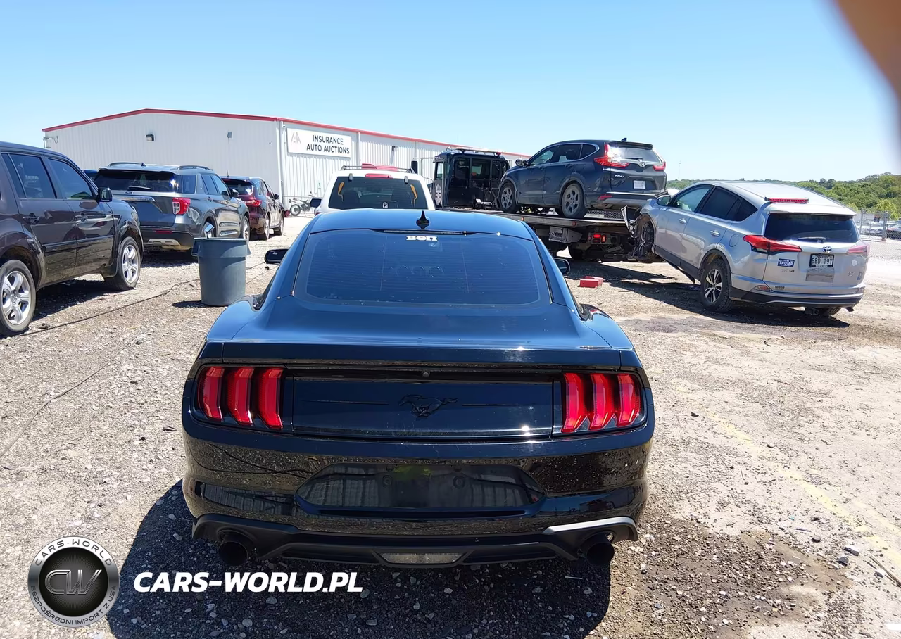2021 Ford Mustang Ecoboost Fastback VIN:1FA6P8TH0M5153269 - 16