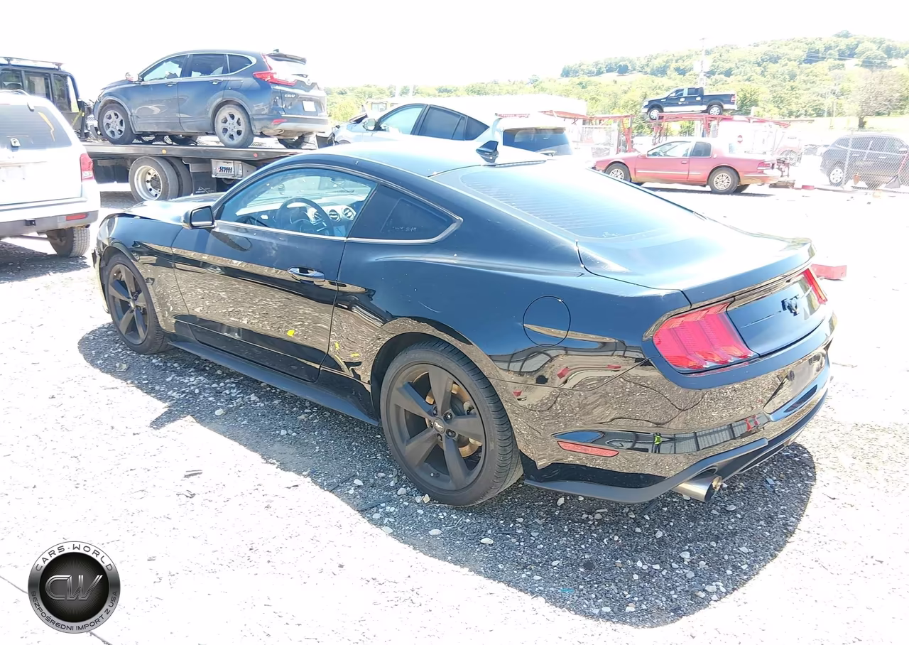 2021 Ford Mustang Ecoboost Fastback VIN:1FA6P8TH0M5153269 - 3