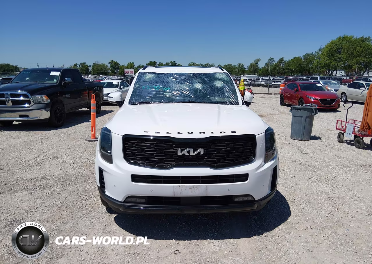 2022 Kia Telluride Sx VIN:5XYP5DHC7NG207170 - 12
