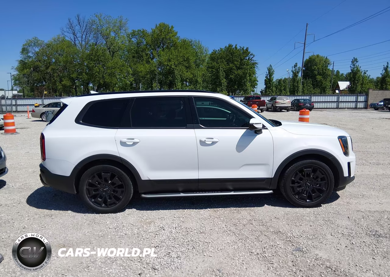 2022 Kia Telluride Sx VIN:5XYP5DHC7NG207170 - 13