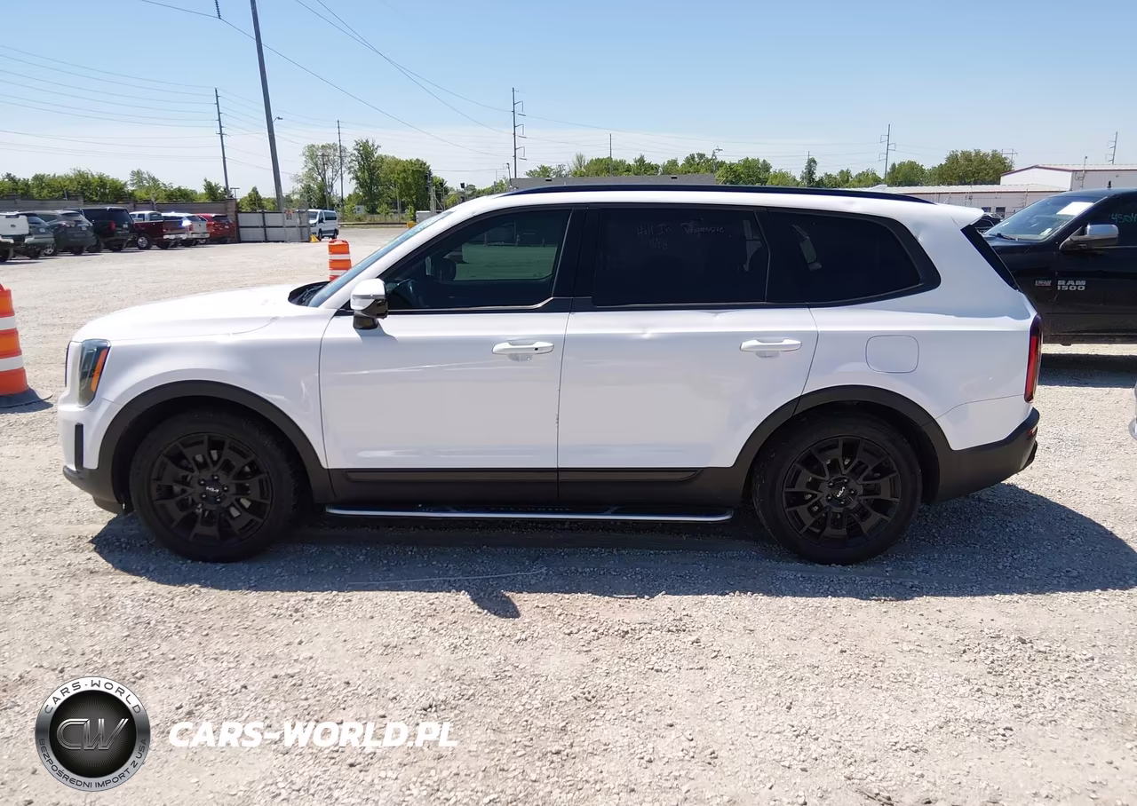 2022 Kia Telluride Sx VIN:5XYP5DHC7NG207170 - 14