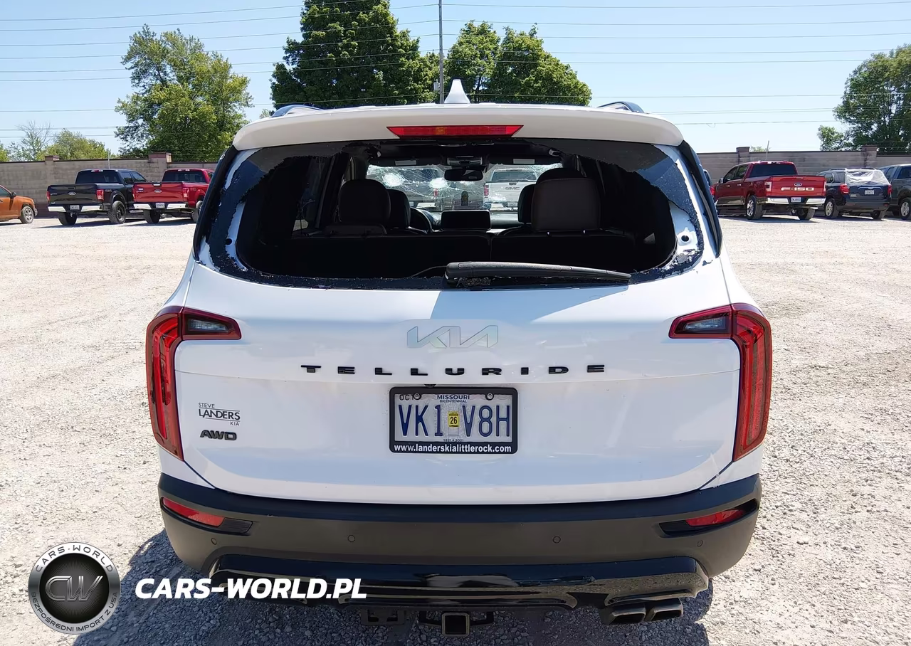 2022 Kia Telluride Sx VIN:5XYP5DHC7NG207170 - 16