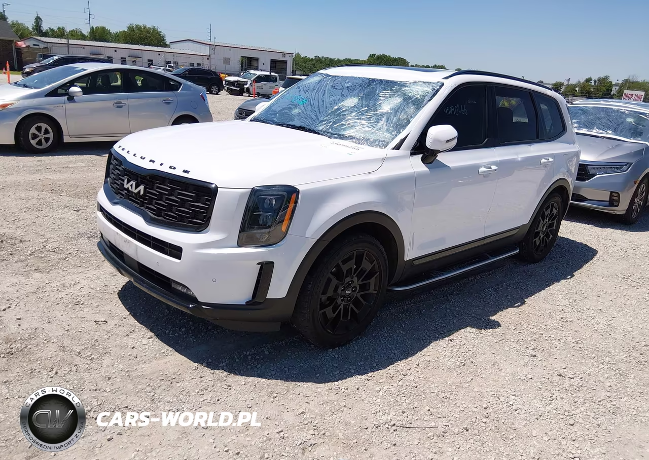 2022 Kia Telluride Sx VIN:5XYP5DHC7NG207170 - 2