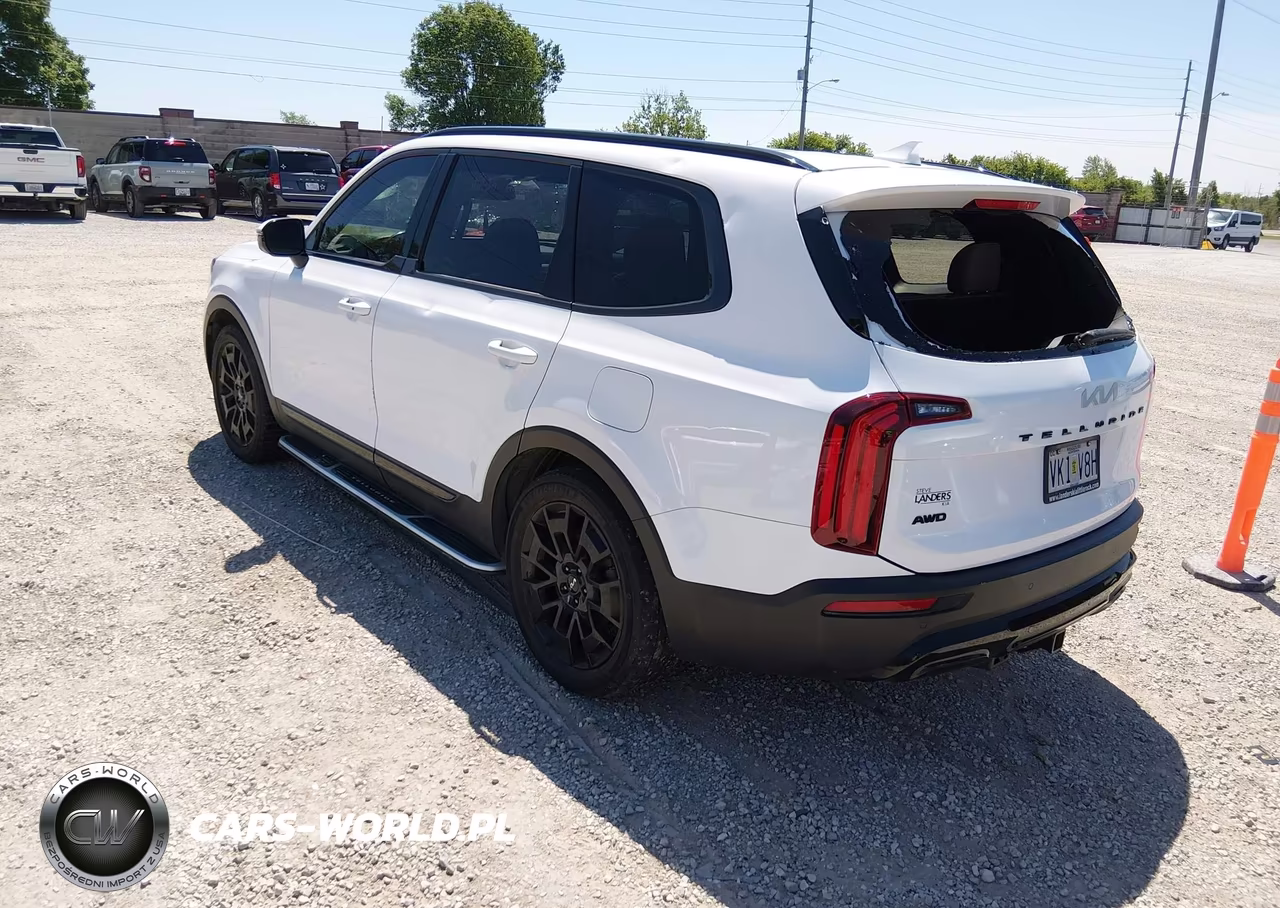 2022 Kia Telluride Sx VIN:5XYP5DHC7NG207170 - 3