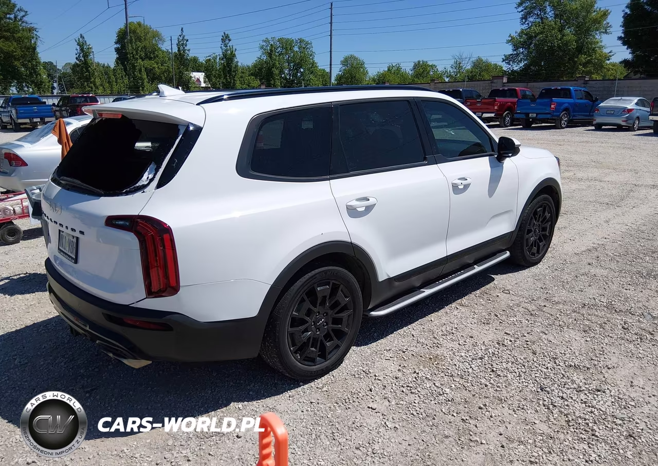 2022 Kia Telluride Sx VIN:5XYP5DHC7NG207170 - 4