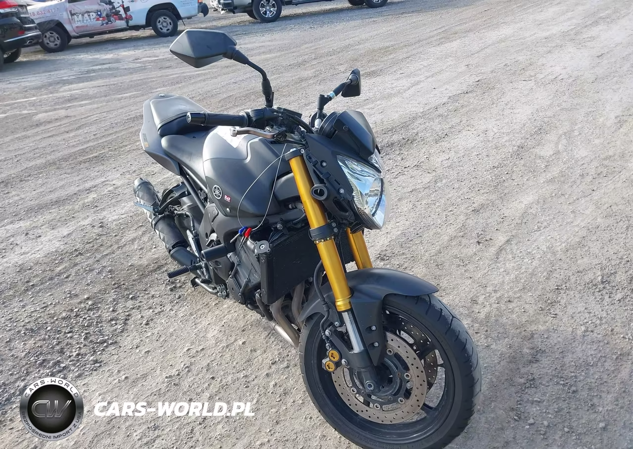 2012 Yamaha Fz8 N